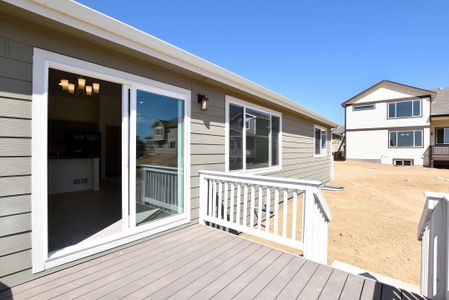 New construction Single-Family house 437 Vivid Ln, Windsor, CO 80550 null- photo 40 40