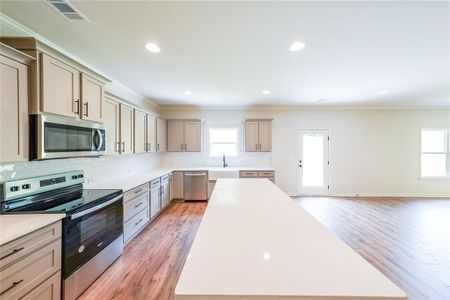 New construction Single-Family house 95 Old Lake Lane, Dawsonville, GA 30534 Yahoola- photo 12 12