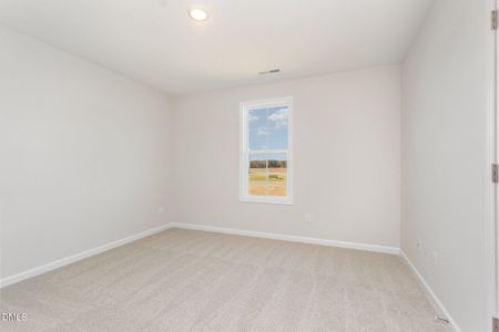 New construction Single-Family house 54 Littlefield Ln, La Grange, NC 28551 - image 12