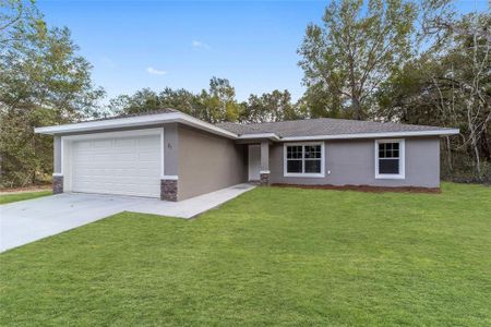 New construction Single-Family house 14 Fisher Terrace Run, Ocklawaha, FL 32179 - photo 0