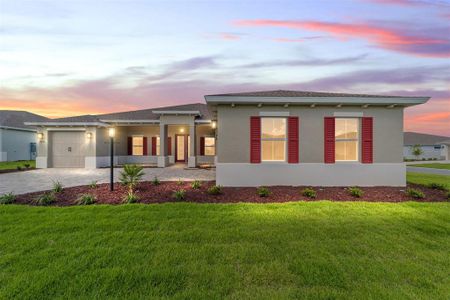 New construction Single-Family house 8492 Sw 99Th Cir, Ocala, FL 34481 - image