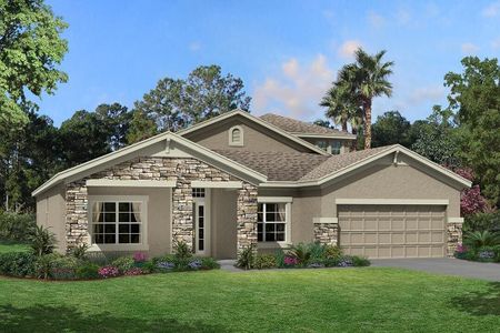 New construction Single-Family house 5950 Newberry Pines Ave, Wesley Chapel, FL 33545 null- photo 1 1