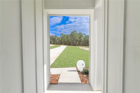 New construction Single-Family house 12707 Sw 78Th Pl, Dunnellon, FL 34432 null- photo 3 3