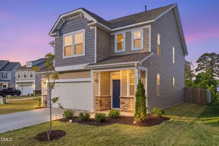 New construction Single-Family house 202 Burford Wy, Angier, NC 27501 - image