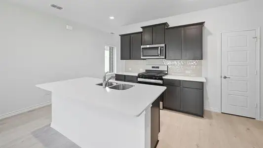 New construction Single-Family house 1320 Hopes Lake Dr, Princeton, TX 75407 - image