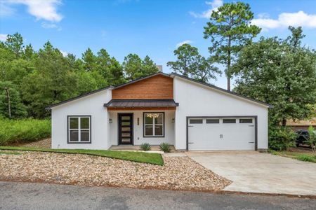 New construction Single-Family house 273 Tahitian Drive, Bastrop, TX 78602 - photo 0