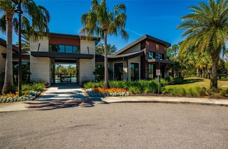 New construction Single-Family house 17291 Saw Palmetto Ave, Clermont, FL 34714 Morris- photo 47 47