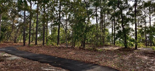 New construction Single-Family house 5554 Ocean Breeze Dr, Spring Hill, FL 34609 plan 2000 - image 13