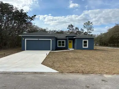 New construction Single-Family house 30 Fisher Trace Run, Ocklawaha, FL 32179 - image