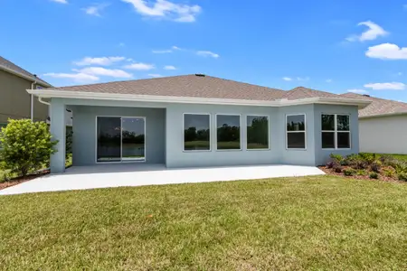 Waterset Cottage Series by David Weekley Homes in Apollo Beach - photo 33 33