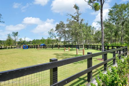 New construction Single-Family house 415 Juniper Hills Dr, St. Johns, FL 32259 Antigua- photo 13 13