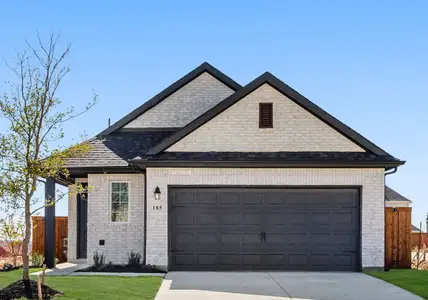 New construction Single-Family house 310 Hope Orchards Dr, Lavon, TX 75166 plan Blackburn - image