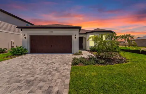 New construction Single-Family house 33335 Herds Hallow Wy, Wesley Chapel, FL 33545 plan Medina - image