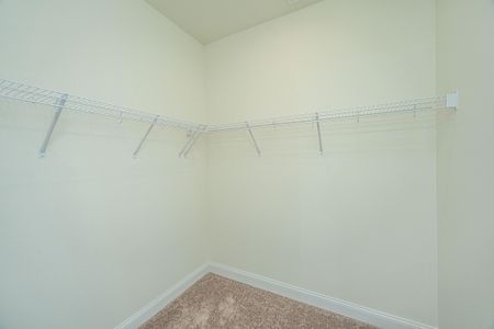 New construction Single-Family house 127 Augusta Pass Dr, Ridgeville, SC 29472 plan Adams - image 8
