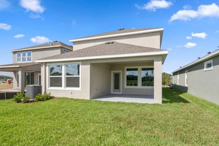 Waterset Garden Series by David Weekley Homes in Apollo Beach - photo 24 24