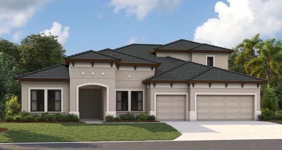New construction Single-Family house 4529 Foley Grove Dr, Valrico, FL 33596 plan Cedar Key II - image
