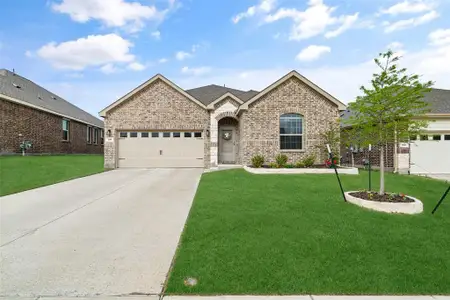 New construction Single-Family house 1317 Lazy Grove Dr, Anna, TX 75409 plan Mozart - image