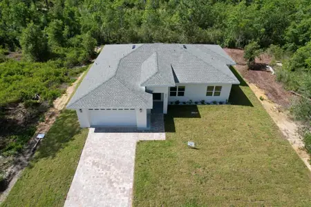 New construction Single-Family house 8001 Leonardo St, Sebring, FL 33872 - image