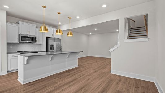 New construction Townhouse house 49 Moon Haven Wy, Arden, NC 28704 plan Litchfield - image 10