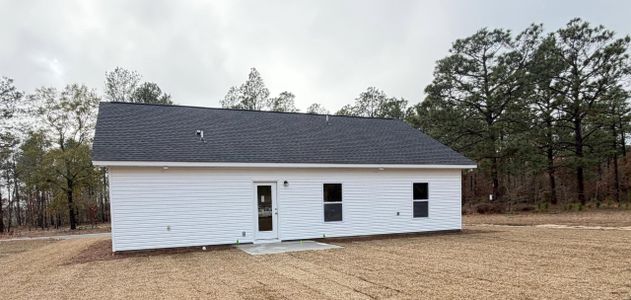 New construction Single-Family house 149 Trotter Ln, Orangeburg, SC 29118 - image