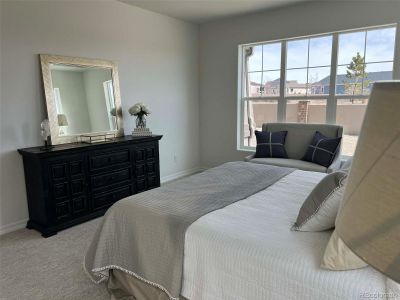 New construction Single-Family house 10151 Waterton Canyon Wy, Colorado Springs, CO 80924 - image 8