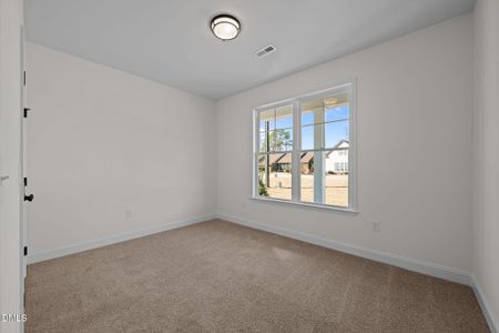 New construction Single-Family house 1216 Petite Terre Ct, New Bern, NC 28560 - image 17