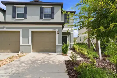 New construction Townhouse house 36159 Risa Michele St, Zephyrhills, FL 33541 - image