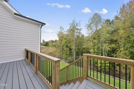 New construction Single-Family house 2518 Silas Peak Ln, Apex, NC 27523 - photo 49 49