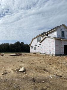 New construction Single-Family house 201 Smoke Signal Ct, Liberty Hill, TX 78628 Brookshire- photo 2 2