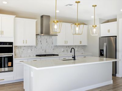 New construction Single-Family house 334 W Flatiron Trl, Apache Junction, AZ 85120 plan Lark - image