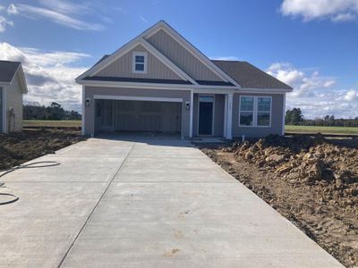 New construction Single-Family house 169 River Birch Dr, Unit 153 Bailey11, Loris, SC 29569 - image