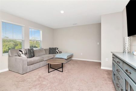 New construction Single-Family house 11338 Brook Edge Ave, Riverview, FL 33569 plan Indigo - image 12