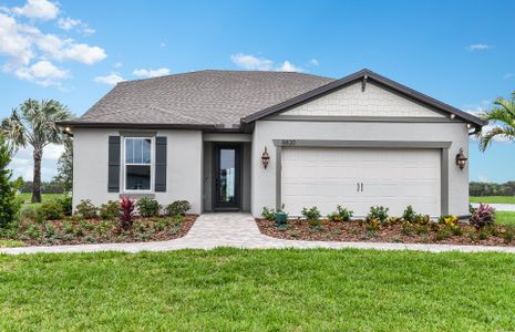 New construction Single-Family house 8816 Sky Sail Cv, Parrish, FL 34219 null- photo 0