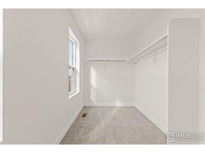 New construction Duplex house 155 Washington St, Erie, CO 80516 plan Villa Series Sassafras  - image 11