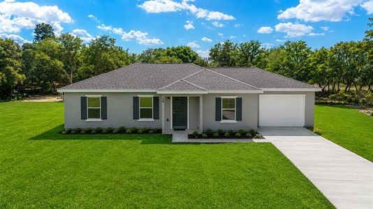 New construction Single-Family house 10 Olive Ln, Ocala, FL 34472 - image