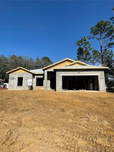 New construction Single-Family house 8827 N Mendoza Wy, Citrus Springs, FL 34434 null- photo 2 2