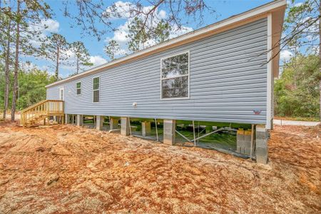 New construction Manufactured Home house 419 Lily Trl, Interlachen, FL 32148 - image