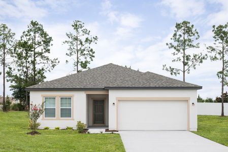 New construction Single-Family house 401 Hennepin Loop, Lake Wales, FL 33898 - photo 0