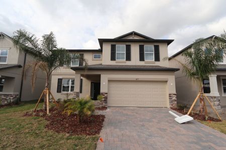 New construction Single-Family house 4877 Foxglove Cir, Lakeland, FL 33811 Alenza- photo 124 124