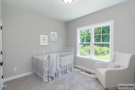 New construction Single-Family house 2776 Rains Mill Rd, Princeton, NC 27569 - image 7