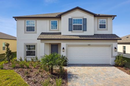 New construction Single-Family house 12219 Hilltop Farms Dr, Dade City, FL 33525 Malibu- photo 235 235