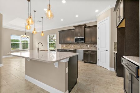 Tidelands by SeaGate Homes in Palm Coast - photo 12 12