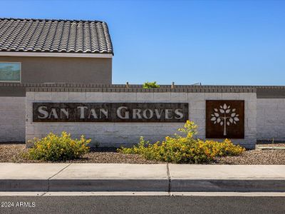 03-San Tan Groves_08