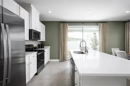 New construction Townhouse house 31399 Spanish Mission Rd, San Antonio, FL 33576 - image 6