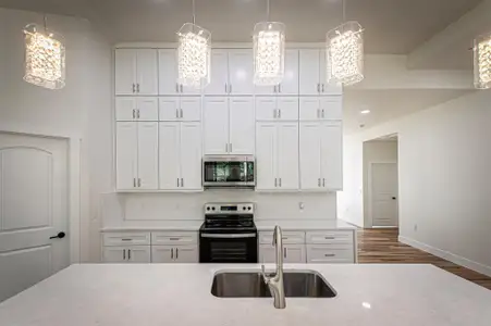 New construction Single-Family house 106 Passion Vine Rd, Dale, TX 78616 - image