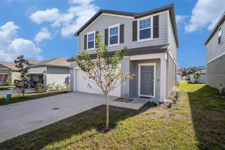 New construction Single-Family house 11618 Kayleigh Ct, Dade City, FL 33525 - image