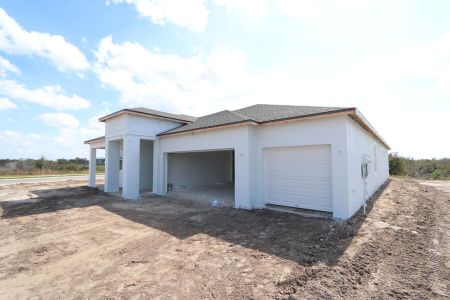 New construction Single-Family house 31119 Hayman Loop, Wesley Chapel, FL 33545 Corina  III- photo 54 54