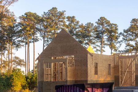 New construction Single-Family house 809 Roddin St, Charleston, SC 29492 - image