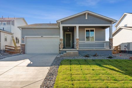 New construction Single-Family house 869 Hummocky Way, Windsor, CO 80550 Palisade- photo 0