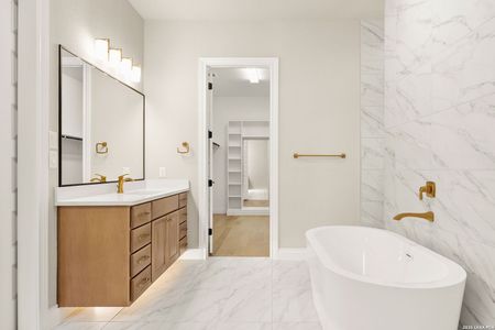 New construction Single-Family house 429 Eider Cv, Spring Branch, TX 78070 - image 8